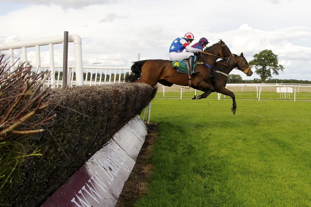 Horse jumping a fence at Bangor-on-Dee Racecourse